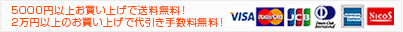 ���쥸�åȷ��